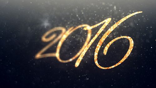 2016 year