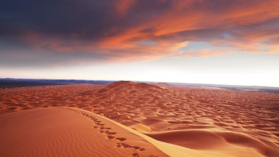 Beautiful Desert