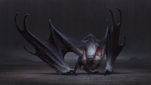 Cute Bat