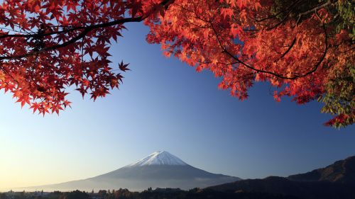 Mount Fuji Autumn Japan