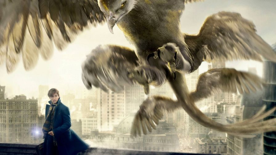 thunderbird fantastic beasts and where to find them