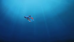 Underwater alone fish