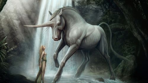 Unicorn artwork