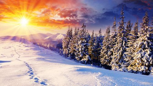 Winter Sunrise wallpaper